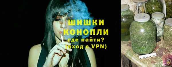 дмт Касимов