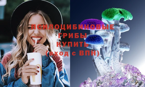 дмт Касимов