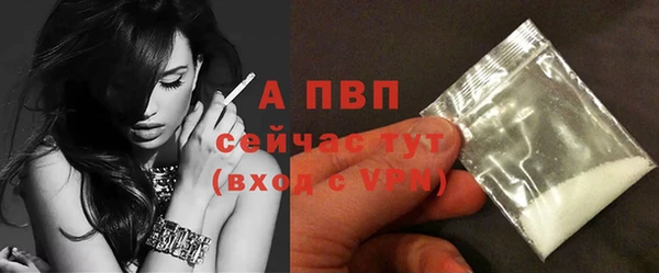 дмт Касимов