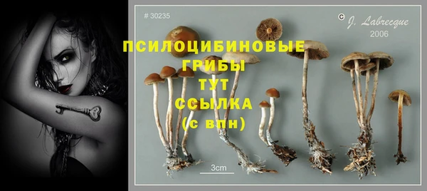 a pvp Карпинск