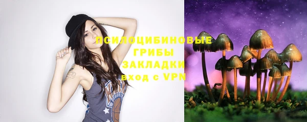 a pvp Карпинск