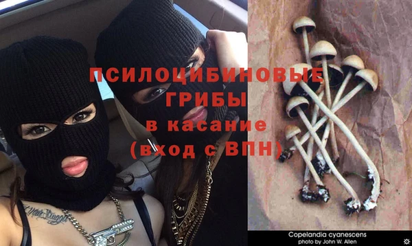 a pvp Карпинск