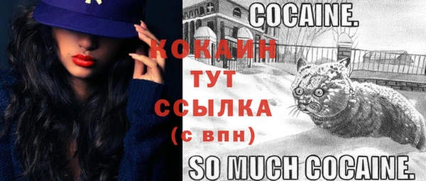 дмт Касимов