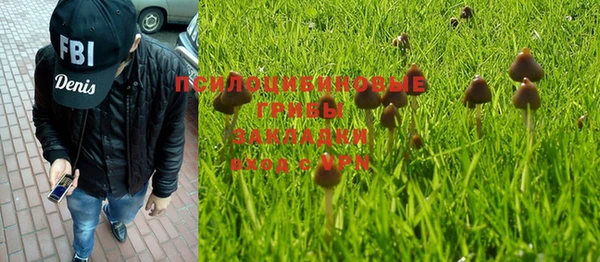 a pvp Карпинск