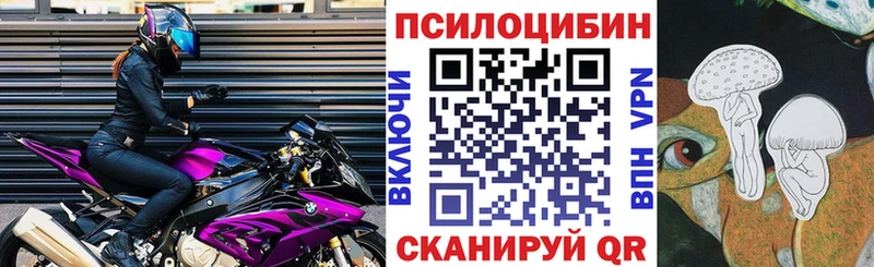 Галлюциногенные грибы Psilocybine cubensis  Ленск 